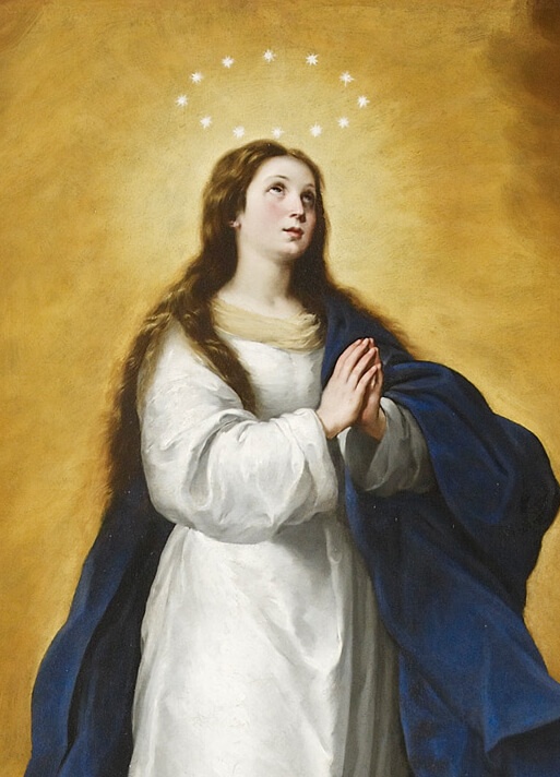 Why do we celebrate the Immaculate Conception today? - Get Fed™