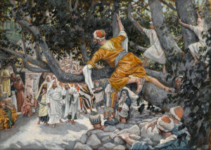 Why did Zacchaeus climb the sycamore tree?